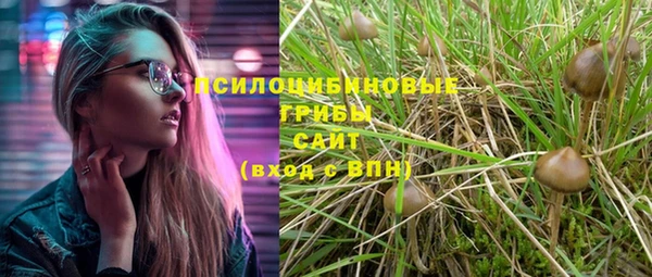 марки lsd Белокуриха