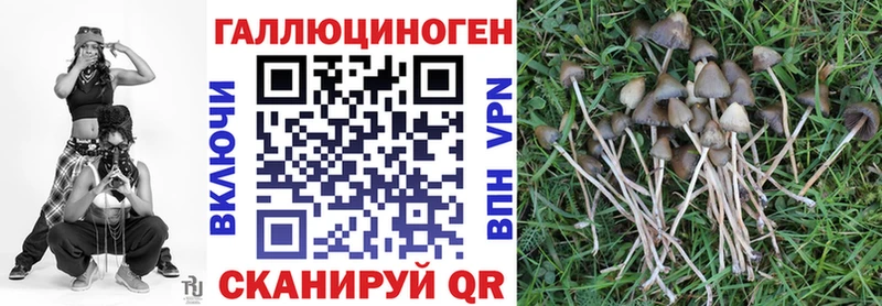 ссылка на мегу рабочий сайт  Соль-Илецк  Псилоцибиновые грибы Psilocybe 